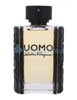 Salvatore Ferragamo Uomo M EDT 100ml