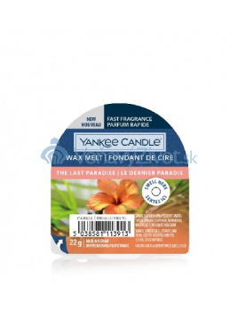 Yankee Candle votivní svíčka The Last Paradise 49g