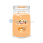 Yankee Candle Mango Ice Cream vonná svíčka 104 g