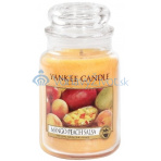 Yankee Candle 623g Mango Peach Salsa