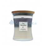 WoodWick Trilogy Amethyst Sky vonná svíčka s dřevěným knotem 275 g