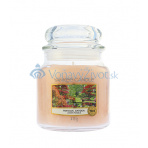 Yankee Candle Tranquil Garden vonná svíčka 411 g