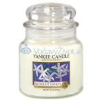 Yankee Candle Midnight jasmine 411g