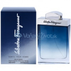 Salvatore Ferragamo Subtil M EDT 100ml