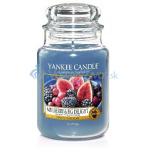 Yankee Candle 623g Mulberry & Fig Delight